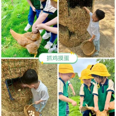 哇“藕”漂流记图7