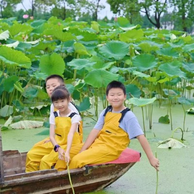 挖藕单日亲子营图7