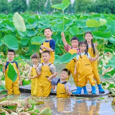 挖藕单日亲子营图2