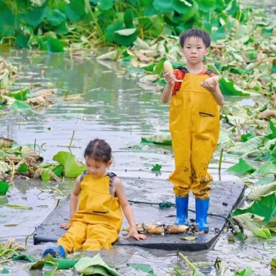 挖藕单日亲子营图9