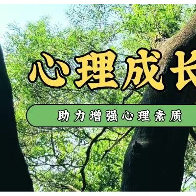 梅林后山独立一日营图8