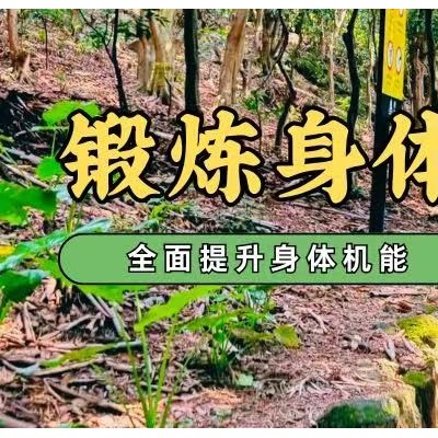 梅林后山独立一日营图7