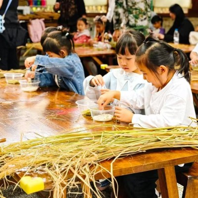 秋收单日独立营图5