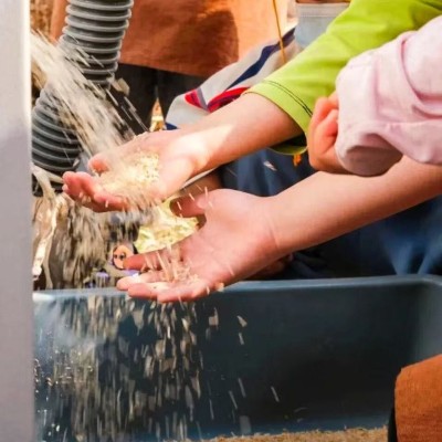 秋收单日独立营图4