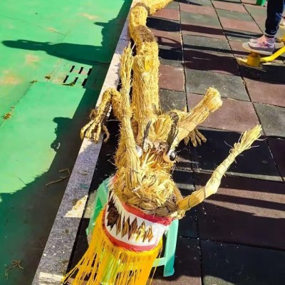 秋收单日独立营图6