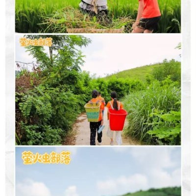 贵州乡村成长营6天5夜图5