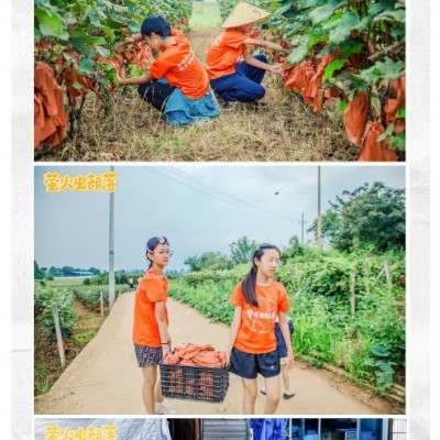 贵州乡村成长营6天5夜图6