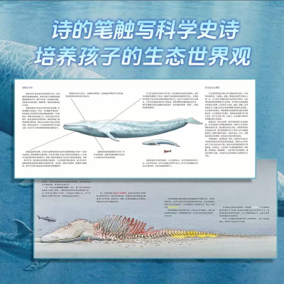 【考生网专属渠道】一鲸落 万物生 深海世界的生命史诗 (美) 林恩·布鲁内尔 (Lynn Brunelle) 儿童生态启蒙科普绘本 福建少年儿童出版社图3